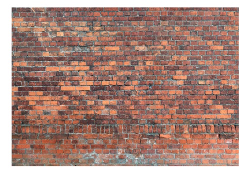 Fototapeta - Vintage Wall (Red Brick)