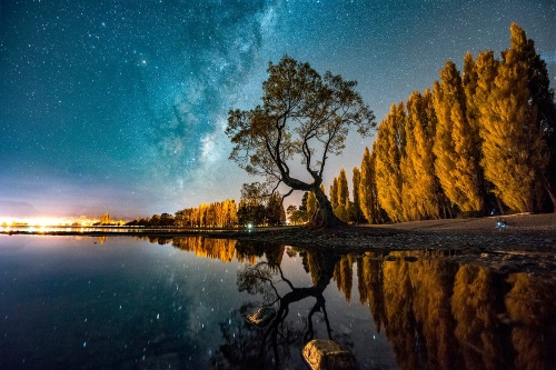 Fototapeta strom pod hvězdnou oblohou