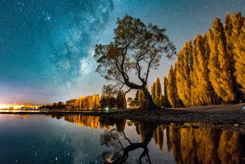 Obraz strom pod hvězdnou oblohou
