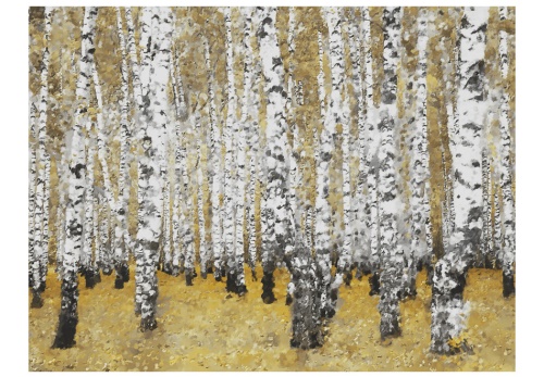 Fototapeta - Autumnal birch forest