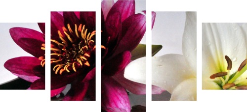 5-dílný obraz květiny v misce