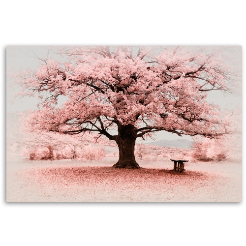 Obraz na plátně, Příroda abstrakce růžového stromu