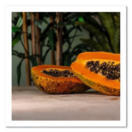 Obraz na plátně Ovocné listy papáji Příroda