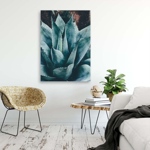 Obraz na plátně Květní listy agáve