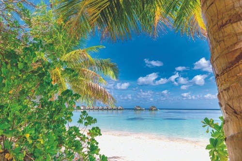Samolepící fototapeta relax v tropickém resortu