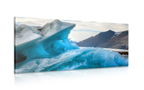 Obraz ledovcové kry