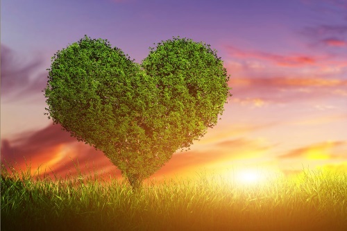 Samolepící tapeta strom ve tvaru srdce