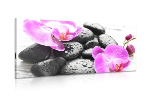 Obraz kouzelná souhra kamenů a orchideje