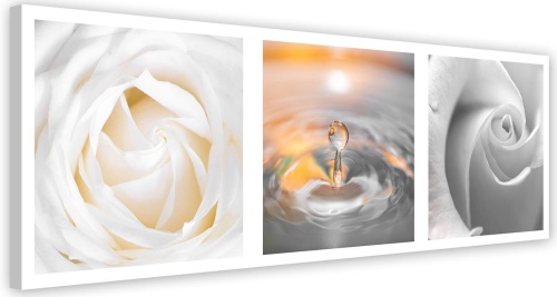 Obraz na plátně, Bílé růže Květiny panoráma
