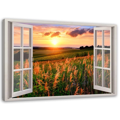 Obraz na plátně Výhled z okna na západ slunce květiny
