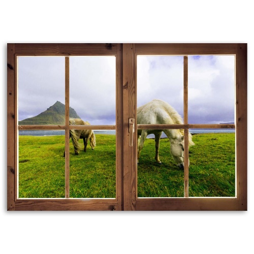 Obraz na plátně Výhled  z okna na koňskou louku