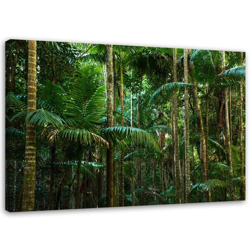 Obraz na plátně Palmy Les Příroda