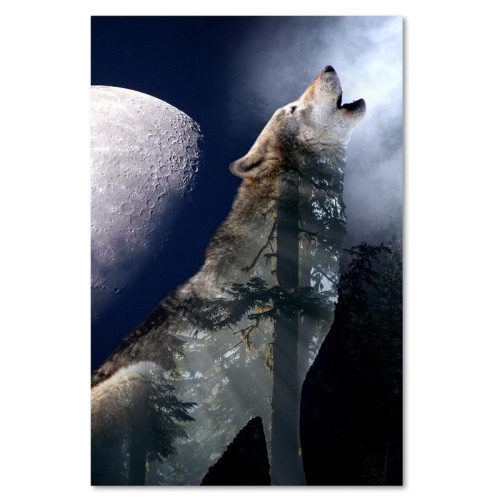 Obraz na plátně Vlk Noc Měsíc Příroda