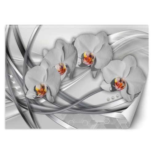 Fototapeta, Abstraktní orchideje