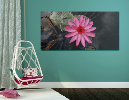 Obraz očarující lotosový květ