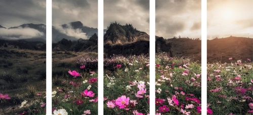 5-dílný obraz louka kvetoucích květin