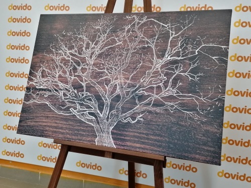 Obraz koruna stromu na dřevěném podkladu