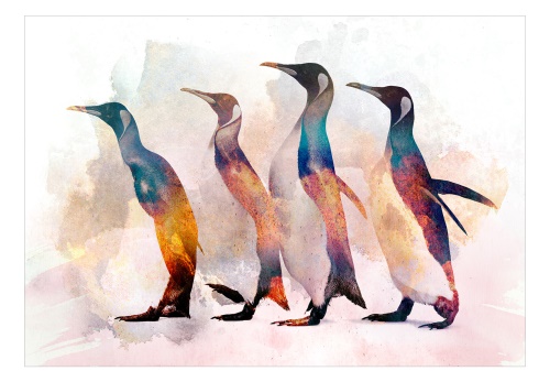 Fototapeta - Penguin Wandering