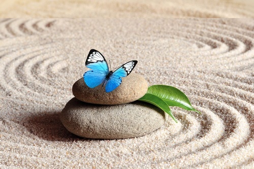 Samolepící fototapeta modrý motýl na Zen kameni