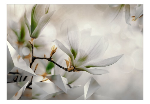 Fototapeta - Subtle Magnolias - Second Variant