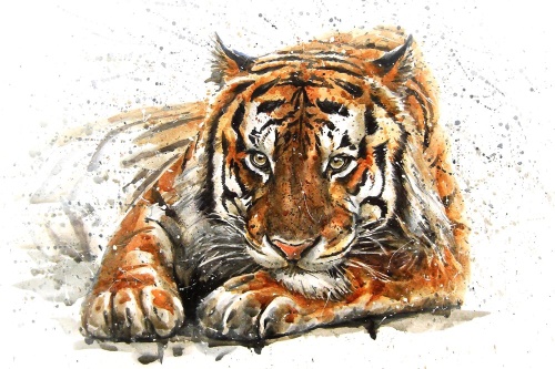Tapeta nádherný tygr