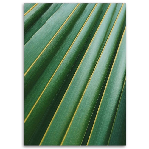 Obraz na plátně Palmové listy Zelená rostlina