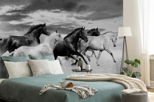 Samolepící tapeta černobílé stádo koní
