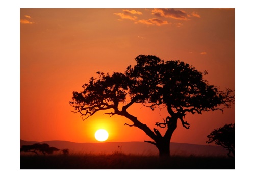Fototapeta - Afrika: západ slunce