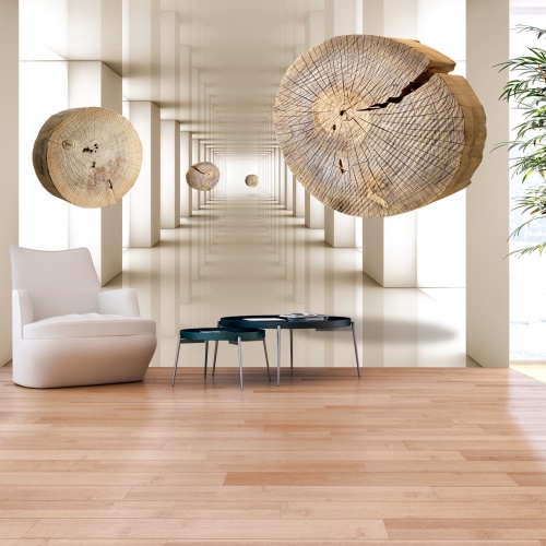 Fototapeta - Flying Discs of Wood