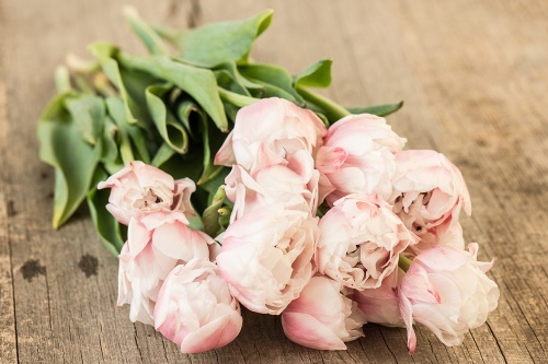 Tapeta romantická kytice tulipánů