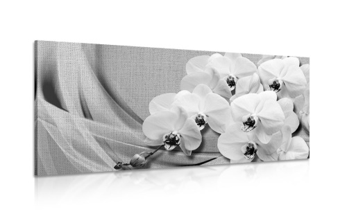 Obraz orchidej na plátně v černobílém provedení