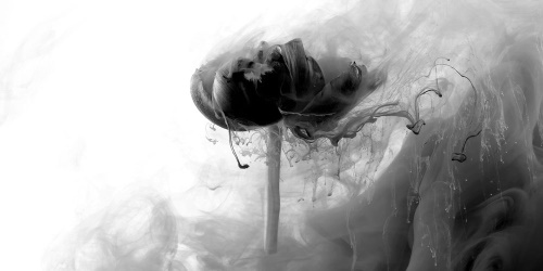 Obraz zajímavý květ v černobílém provedení