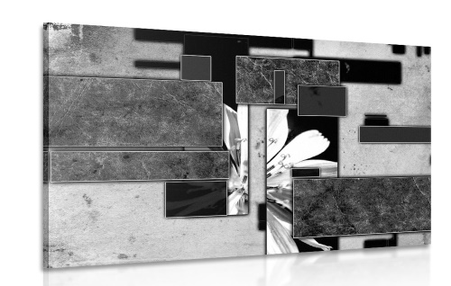 Obraz abstrakce v černobílém provedení s květinou