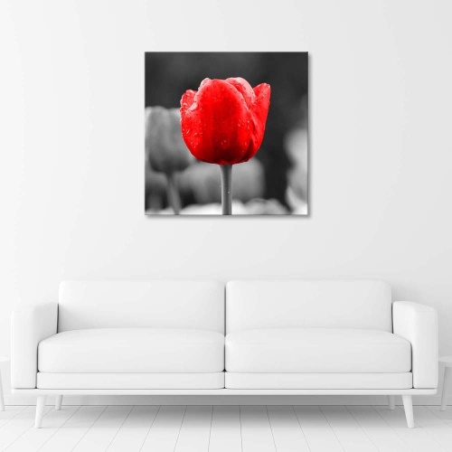 Obraz na plátně Květy červených tulipánů