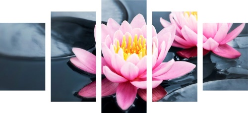 5-dílný obraz lotosový květ v jezeře