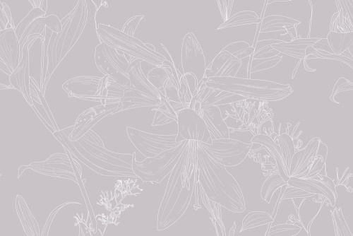 Tapeta kreslená lilie v šedém provedení - 75x1000 cm