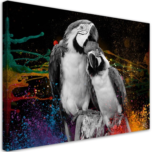 Obraz na plátně, Barevné abstrakce papoušků