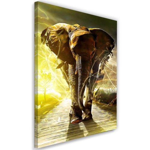 Obraz na plátně Slon na cestě Afrika