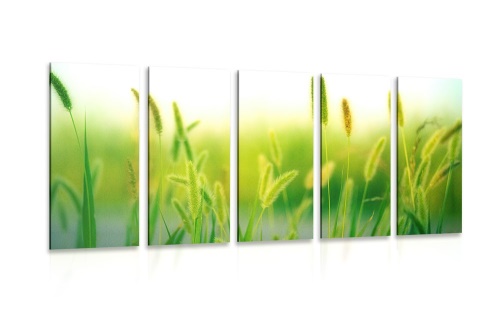 5-dílný obraz stébla trávy v zeleném provedení