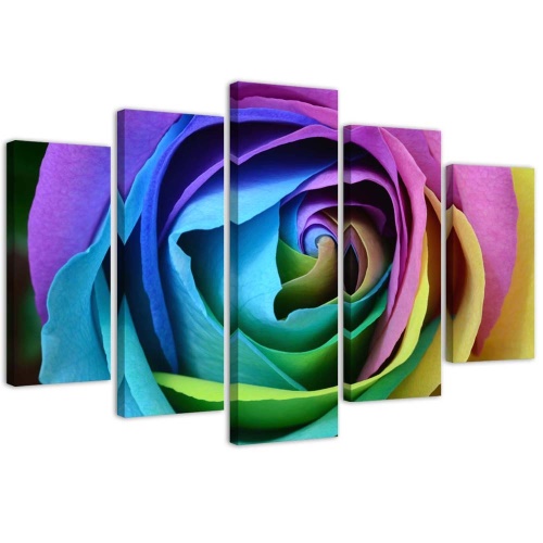 Obraz na plátně pětidílný Rose Flower barevné