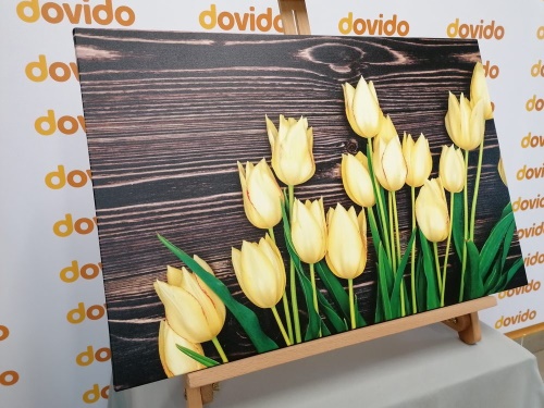 Obraz očarující žluté tulipány na dřevěném podkladě