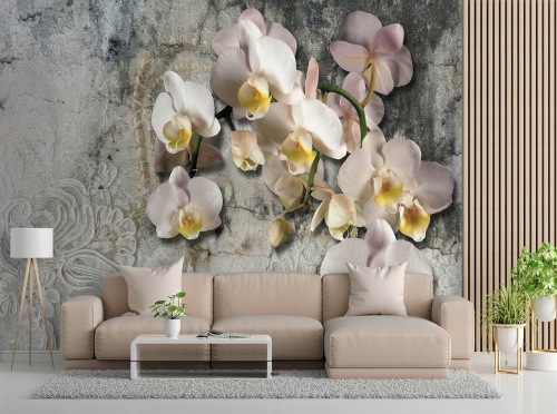 Fototapeta, Kvetoucí orchidej Květiny Stěna