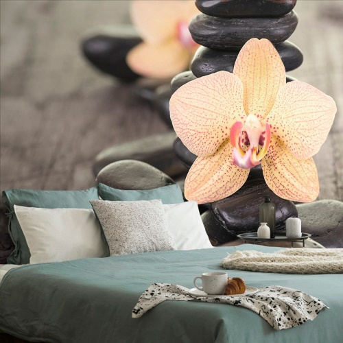 Fototapeta orchideje a Zen kameny