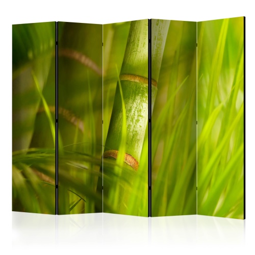 Paraván - bamboo - nature zen II [Room Dividers]