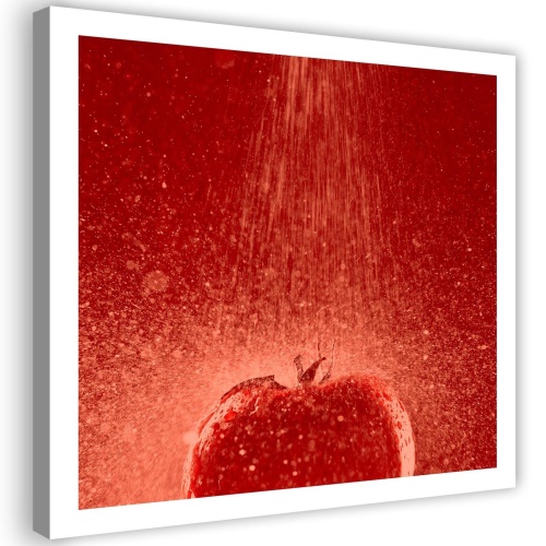 Obraz na plátně Červené rajče ve vodě