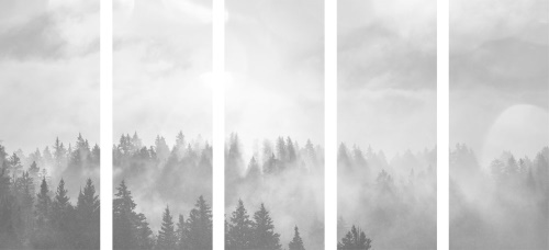 5-dílný obraz mlha nad lesem v černobílém provedení