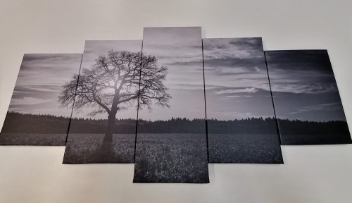5-dílný obraz osamělého stromu v černobílém provedení