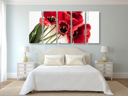 5-dílný obraz rozkvetlé červené tulipány