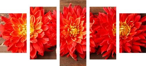5-dílný obraz květiny červené jiřiny