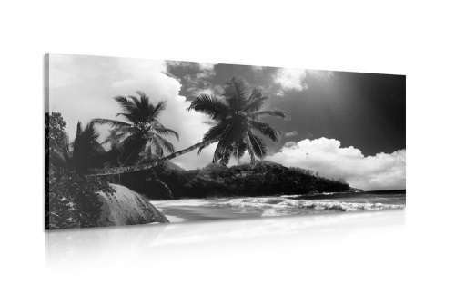 Obraz nádherná pláž na ostrově Seychely v černobílém provedení
